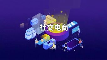 有品有魚(yú) 看清社交電商的商業(yè)模式本質(zhì),你也可以大膽干了